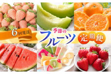 【定期便】 熊本人気フルーツ [旬な季節に合計6回発送] | フルーツ 果物 くだもの 旬 人気 定期 定期便 熊本県 玉名市