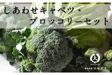 しあわせキャベツ ・玉名市産ブロッコリー セット | 野菜 やさい キャベツ ブロッコリー セット 熊本県 玉名市
