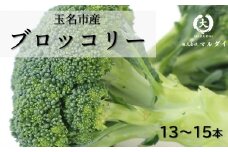 玉名市産 ブロッコリー 13～15本 | 野菜 やさい ミネラル 豊富 熊本県 玉名市