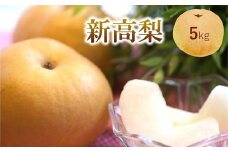 くまもと 梨 新高 5kg | フルーツ 果物 くだもの なし ナシ 人気 熊本県 玉名市