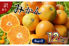 【 6キロ × 2箱 】 たまな産 温州みかん 12kg | フルーツ 果物 くだもの 柑橘 みかん ミカン 温州ミカン 熊本県 玉名市