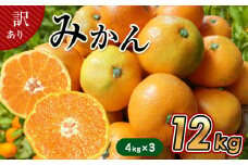 たまな産 温州 みかん 12kg ( 4kg × 3箱 ） | フルーツ 果物 くだもの 柑橘 ミカン 温州みかん 温州ミカン 熊本県 玉名市