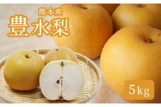 熊本産 梨 豊水 ( 5kg ) | フルーツ 果物 くだもの なし ナシ 熊本県 玉名市