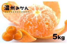 温州みかん 5kg 【熊本玉名・みかん専門店より】 | フルーツ 果物 くだもの 柑橘 ミカン みかん 玉名 たまな 熊本県 玉名市
