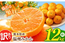 【 訳あり 】 温州みかん 12kg 熊本県産 | 果物 くだもの フルーツ 柑橘 柑橘類 みかん ミカン 温州 大小混合 家庭用 熊本県 玉名市