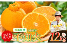 【 訳あり 】 ノナカ柑橘農園 不知火 12kg ｜ 果物 くだもの フルーツ 柑橘 柑橘類 不知火 熊本県 玉名市