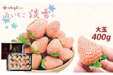 雅乃苺 白いちご「淡雪」大玉 400g ≪化粧箱入り≫ | フルーツ 果物 くだもの イチゴ 苺 いちご 白 箱 熊本県 玉名市
