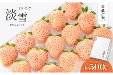 雅乃苺 白 いちご 淡雪 約 500g | フルーツ 果物 くだもの 苺 イチゴ 白いちご あわゆき 熊本県 玉名市