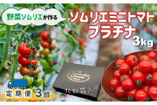 【定期便】ソムリエミニトマト「プラチナ」 3kg × 3ヶ月 | 野菜 やさい トマト とまと ミニトマト みにとまと 熊本県 玉名市