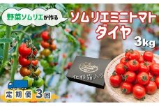【定期便】ソムリエミニトマト「ダイヤ」 3kg × 3ヶ月 | 野菜 やさい トマト とまと ミニトマト みにとまと 熊本県 玉名市