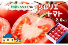  【定期便】ソムリエトマト ( トマト 2.6kg ) × 3ヶ月 | 野菜 やさい とまと 野菜ソムリエ 畑の宝石 熊本県 玉名市