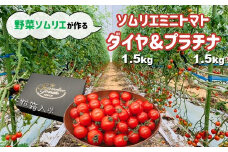 ソムリエミニトマト 食べ比べ3kg ( プラチナ + ダイヤ ) | 野菜 やさい トマト とまと ミニトマト 野菜ソムリエ 食べ比べ セット 熊本県 玉名市