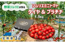  【定期便】ソムリエミニトマト 食べ比べ3kg ( プラチナ + ダイヤ ) × 3ヶ月 | 野菜 やさい トマト とまと ミニトマト 野菜ソムリエ 食べ比べ セット 熊本県 玉名市
