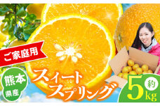 『 かめまる食堂 』 熊本県産 ご家庭用 スイートスプリング 約 5kg | 果物 くだもの フルーツ 柑橘 柑橘類 みかん 訳あり 熊本県 玉名市