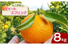 『 村上農園 』 スイートスプリング 8kg | フルーツ 果物 くだもの 柑橘 柑橘類 みかん ミカン スイートスプリング 熊本県 玉名市