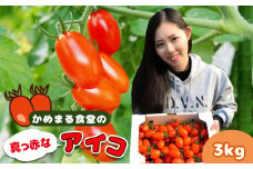 『 かめまる食堂 』 真っ赤なアイコ 3kg | 野菜 やさい トマト とまと 赤 アイコ 熊本県 玉名市