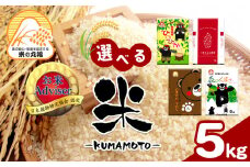 熊本県産 森のくまさん 5kg | 米 こめ お米 おこめ 白米 精米 熊本県 玉名市