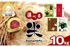 熊本県産 森のくまさん 10kg | 米 こめ お米 おこめ 白米 精米 熊本県 玉名市