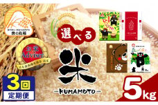 【定期便3回】 お米アドバイザーにおまかせ 5kg×3回 | 米 こめ お米 おこめ 白米 精米 定期 定期便 熊本県 玉名市