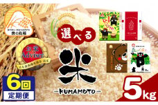 【定期便6回】 熊本県産ひのひかり 5kg×6回 | 米 こめ お米 おこめ 白米 精米 定期 定期便 熊本県 玉名市
