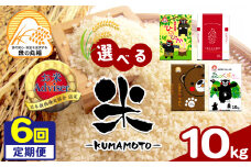 【定期便6回】お米アドバイザーにおまかせ 10kg×6回 | 米 こめ お米 おこめ 白米 精米 定期 定期便 熊本県 玉名市