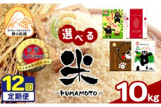 【定期便12回】 お米アドバイザーにおまかせ 10kg×12回 | 米 こめ お米 おこめ 白米 精米 定期 定期便 熊本県 玉名市