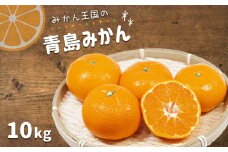 『 みかん王国 』 の 青島みかん 10kg | フルーツ 果物 くだもの 柑橘 柑橘類 みかん ミカン 熊本県 玉名市