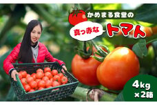 『 かめまる食堂 』 真っ赤なトマト ( 4kg × 2箱 ) | 野菜 やさい トマト とまと 赤 熊本県 玉名市