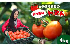 『 かめまる食堂 』 真っ赤なトマト 4kg | 野菜 やさい トマト とまと 赤 熊本県 玉名市