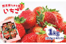 いちご 1kg （ 250g × 4パック ） 熊本県 | フルーツ 果物 くだもの 苺 イチゴ 熊本 玉名市