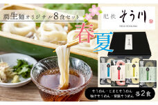 潤生麺バラエティーセット （ 春 ・ 夏 ） 計8食入り | 食品 麺類 潤生麺 生麺 そうめん バラエティー セット 熊本県 玉名市