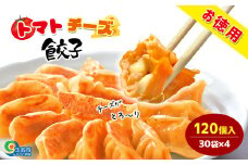 トマトチーズ餃子 120個入り | 食品 中華 加工品 おかず 一品 餃子 ぎょうざ トマト チーズ 熊本県 玉名市