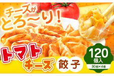 トマトチーズ餃子 120個入り | 食品 中華 加工品 おかず 一品 餃子 ぎょうざ トマト チーズ 熊本県 玉名市