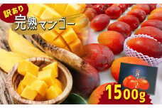 訳あり 完熟マンゴー 約1.5㎏ ｜ 果物 くだもの フルーツ マンゴー 訳あり 旬 夏 高糖度 熊本県 玉名市
