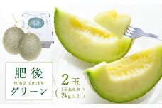 メロン 肥後グリーン 2玉 玉名市産 | フルーツ 果物 くだもの 高級 メロン 熊本県 玉名市