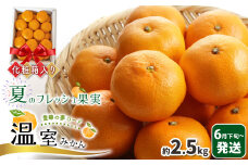 温室みかん 『豊華の夢ロード』 約2.5kg 化粧箱入り | 果物 くだもの 柑橘 みかん ミカン フルーツ 熊本 玉名