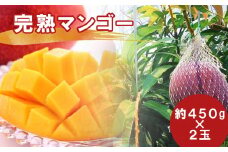 完熟マンゴー 2玉（約450g×2玉）玉名市産