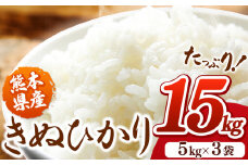 熊本県産 きぬひかり 15kg ( 5kg × 3袋 ) | 米 こめ お米 おこめ 白米 精米 令和5年産 熊本県 玉名市