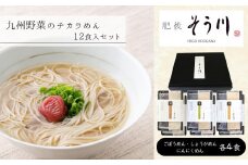 九州野菜のチカラめん オリジナルセット 計12食入り| 麺 ごぼうめん しょうがめん にんにくめん 熊本 玉名