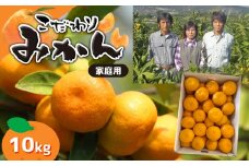 ≪家庭用≫こだわりみかん『豊華の夢ロード』10kg | 果物 くだもの ミカン みかん フルーツ 家庭用 熊本 玉名