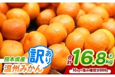訳あり 熊本県産 温州 みかん 約 16.8kg （16kg+傷み補償分800g） | フルーツ 果物 くだもの 柑橘 みかん ミカン オレンジ 温州ミカン 熊本県 玉名市 みかん 名産地 甘い みかん