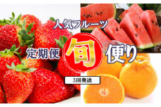 【 定期便 】 熊本人気フルーツ 玉名産 ＜3回 (2ヶ月毎)＞ | フルーツ 果物 くだもの 人気 いちご 不知火 すいか 熊本県 玉名市