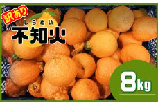 ≪ 訳あり ≫ 不知火 熊本県産 8kg | フルーツ 果物 くだもの 柑橘 みかん ミカン オレンジ しらぬい 熊本県 玉名市