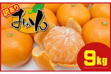 ≪ 訳あり ≫ 熊本県産 温州みかん 約 9kg + 約 0.5kg (補償分） | 果物 フルーツ くだもの みかん ミカン 温州ミカン 訳アリ 熊本県 玉名市