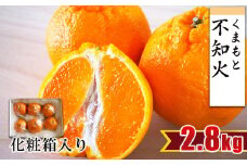 【 贈答用 ・ 化粧箱 】 不知火 約2.8kg （ 6玉程度 ） | フルーツ 果物 くだもの 柑橘 ミカン みかん しらぬい ギフト 熊本県 玉名市