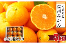 【 贈答用 ・ 化粧箱 】 温州みかん 約3kg | フルーツ 果物 くだもの 柑橘 ミカン みかん 温州ミカン ギフト 熊本県 玉名市