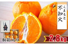 【 贈答用 ・ 桐箱 】 不知火 約2.8kg （ 6玉程度 ） | フルーツ 果物 くだもの 柑橘 みかん ミカン しらぬい ギフト 熊本県 玉名市