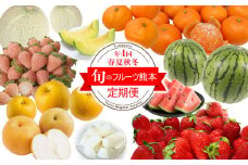 【 定期便 】人気フルーツ 熊本県 玉名市 ＜計4回発送（3ヶ月毎）＞ | フルーツ 果物 くだもの 人気 白いちご いちご すいか メロン 梨 みかん 熊本県 玉名市