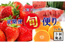 【 定期便 】 人気フルーツ 熊本県 玉名市 ＜計3回発送（1ヶ月毎）＞ | フルーツ 果物 くだもの 人気 いちご 不知火 すいか メロン 熊本県 玉名市