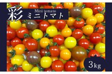 サザキ農園 ミニトマト彩りセット （ 丸型 ） 3kg | 野菜 やさい トマト とまと ミニトマト カラフル 彩り セット 熊本県 玉名市